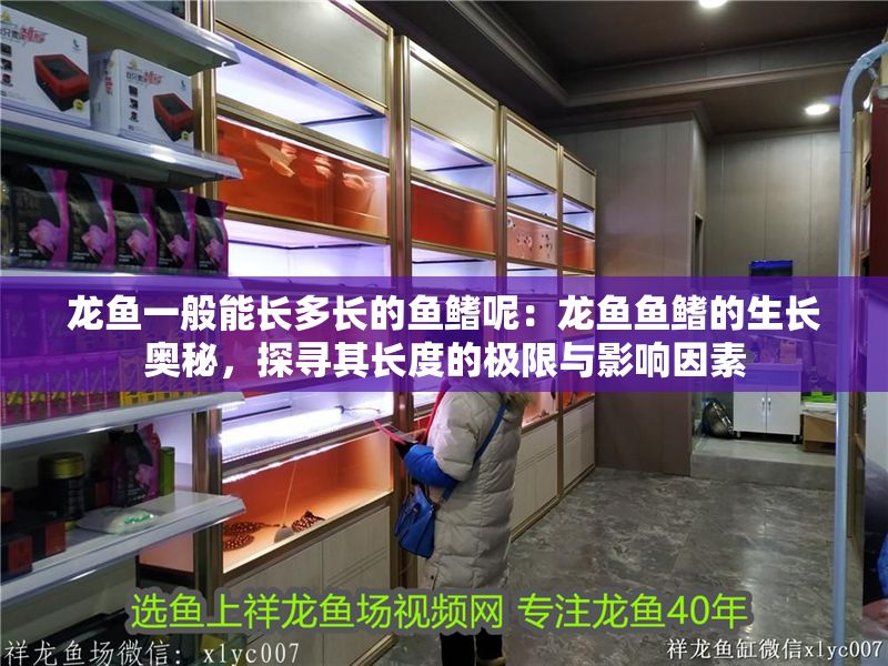 龍魚一般能長多長的魚鰭呢：龍魚魚鰭的生長奧秘，探尋其長度的極限與影響因素