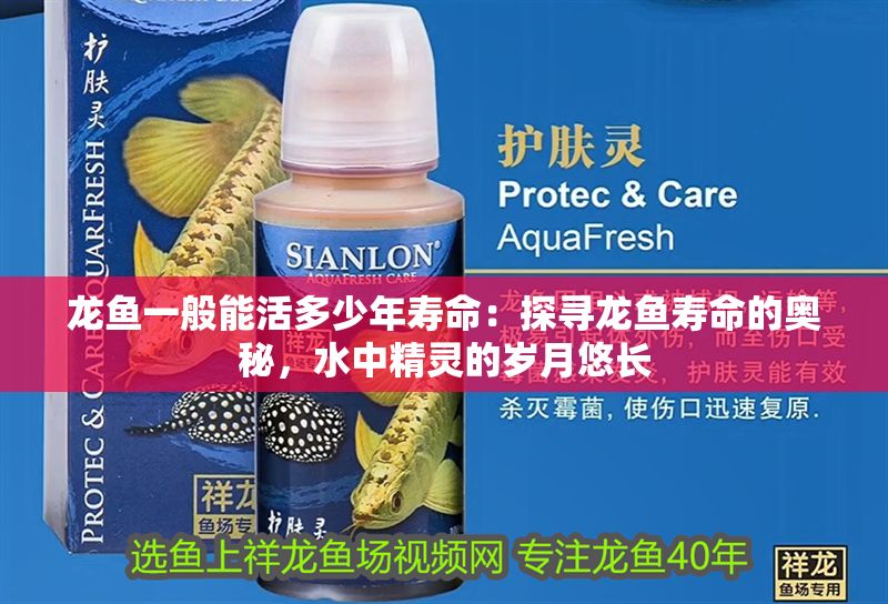 龍魚一般能活多少年壽命：探尋龍魚壽命的奧秘，水中精靈的歲月悠長
