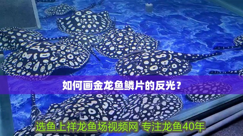 如何畫金龍魚鱗片的反光？