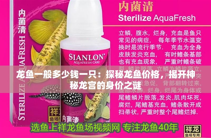 龍魚一般多少錢一只：探秘龍魚價格，揭開神秘龍宮的身價之謎