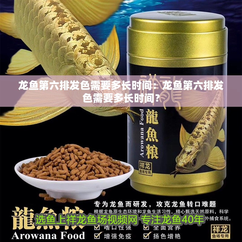 龍魚第六排發色需要多長時間：龍魚第六排發色需要多長時間？