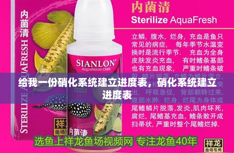 給我一份硝化系統建立進度表，硝化系統建立進度表