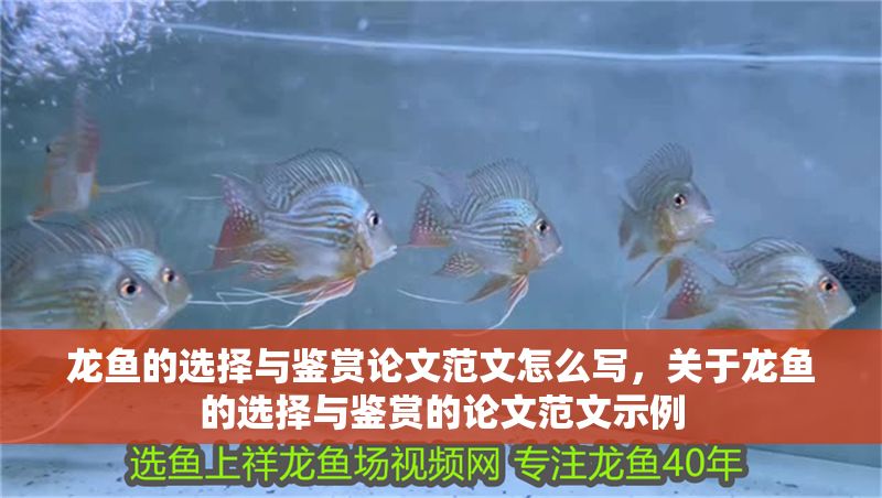 龍魚(yú)的選擇與鑒賞論文范文怎么寫(xiě)，關(guān)于龍魚(yú)的選擇與鑒賞的論文范文示例