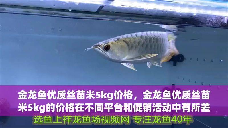 金龍魚優質絲苗米5kg價格，金龍魚優質絲苗米5kg的價格在不同平臺和促銷活動中有所差異