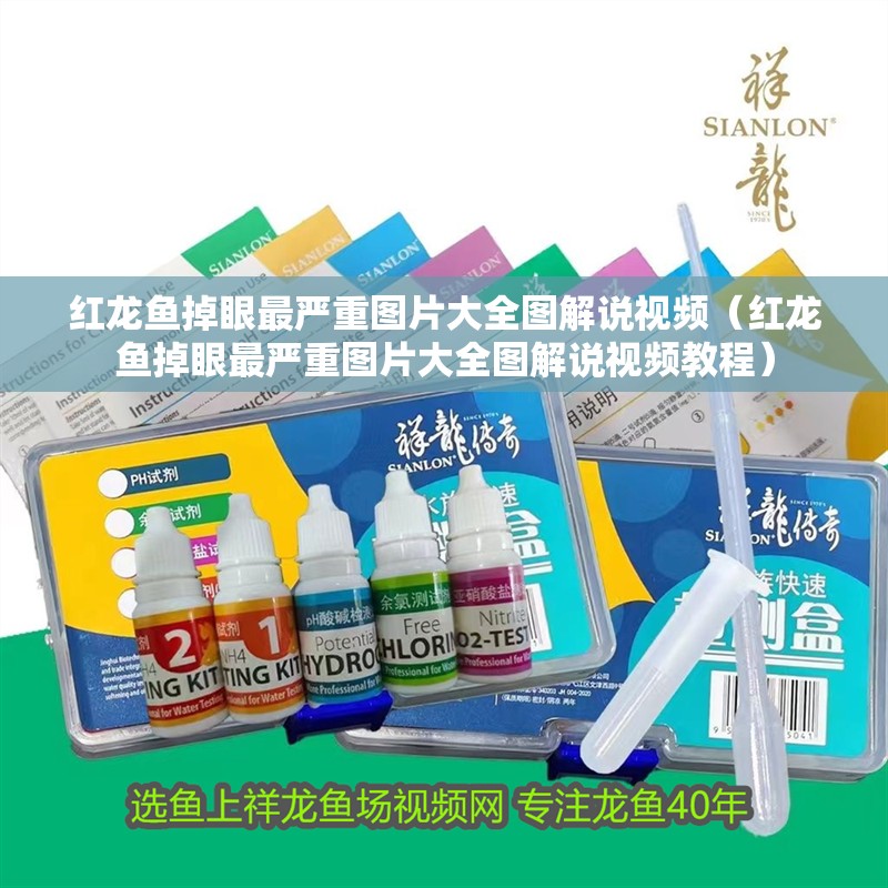 紅龍魚掉眼最嚴(yán)重圖片大全圖解說視頻（紅龍魚掉眼最嚴(yán)重圖片大全圖解說視頻教程）