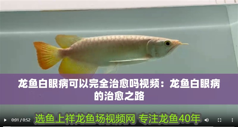 龍魚身上有箭蟲的圖（“龍魚身上有箭蟲的圖”是關于龍魚身上有箭蟲的相關內容以供參考）