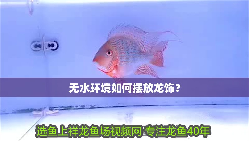 無水環(huán)境如何擺放龍飾？