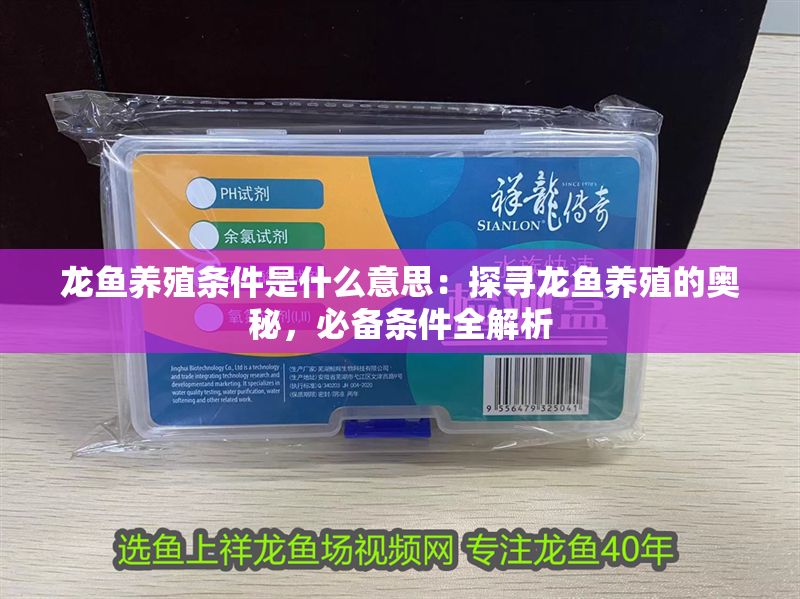 龍魚養殖條件是什么意思：探尋龍魚養殖的奧秘，必備條件全解析