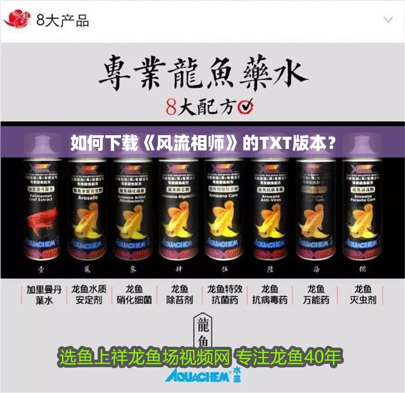 如何下載《風流相師》的TXT版本？