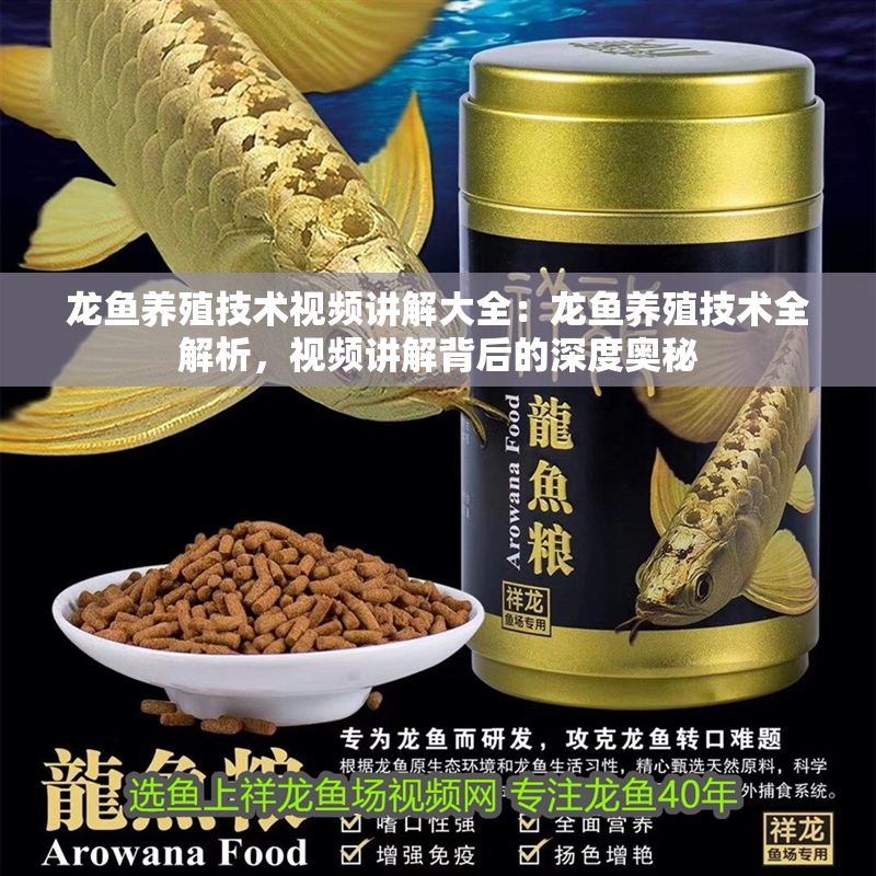 龍魚養殖技術視頻講解大全：龍魚養殖技術全解析，視頻講解背后的深度奧秘