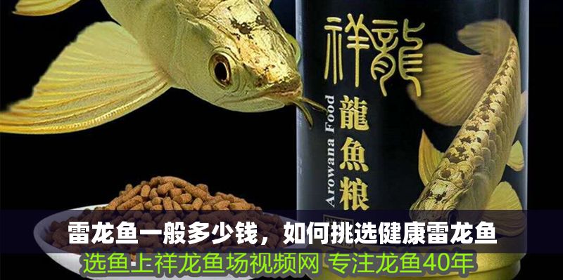 雷龍魚一般多少錢，如何挑選健康雷龍魚