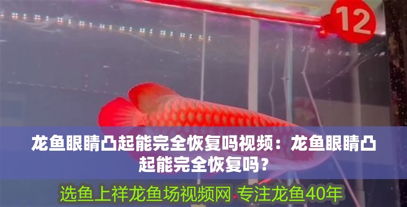 龍魚眼睛凸起能完全恢復嗎視頻：龍魚眼睛凸起能完全恢復嗎？