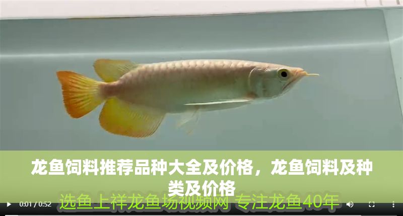 龍魚飼料推薦品種大全及價(jià)格，龍魚飼料及種類及價(jià)格 龍魚飼料推薦品種大全及價(jià)格，龍魚飼料及種類及價(jià)格 龍魚百科 第2張