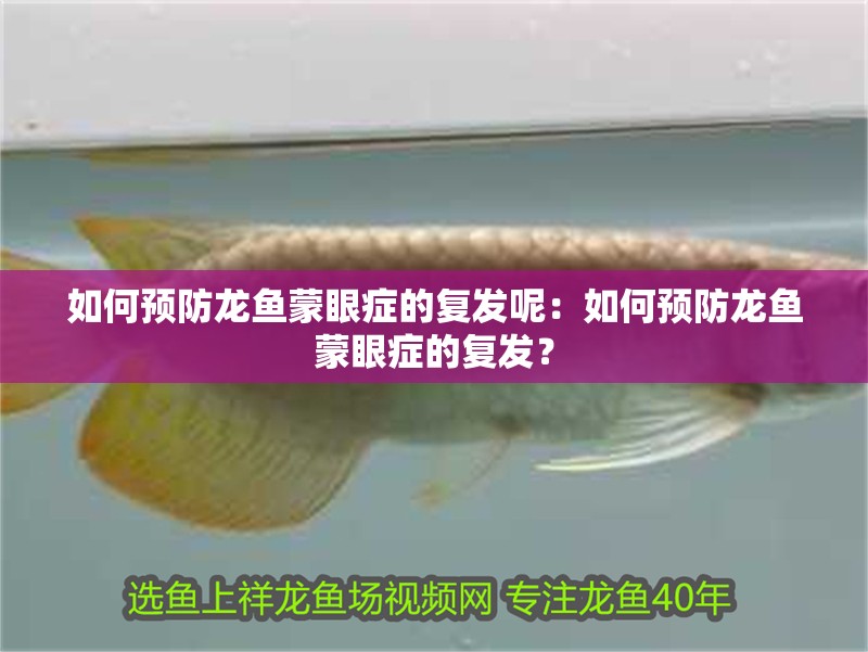 如何預防龍魚蒙眼癥的復發呢：如何預防龍魚蒙眼癥的復發？