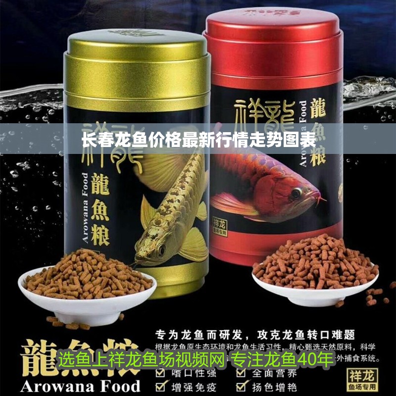 長春龍魚價格最新行情走勢圖表