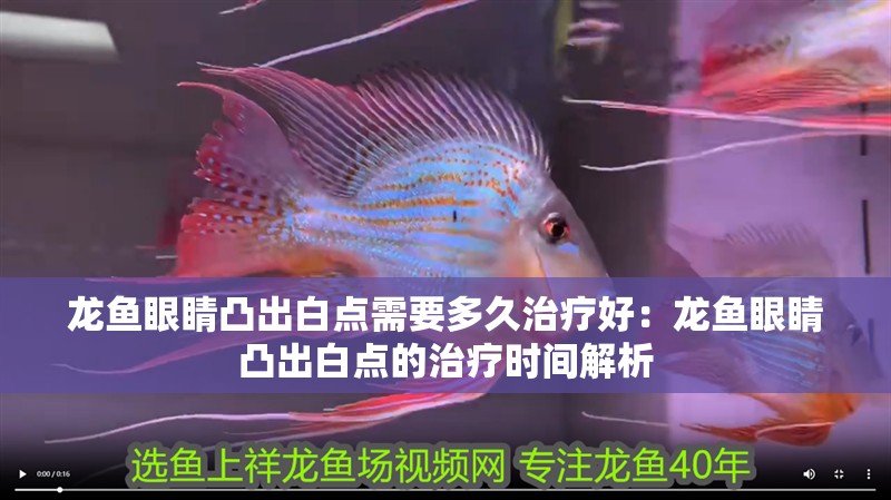 龍魚眼睛凸出白點需要多久治療好：龍魚眼睛凸出白點的治療時間解析 龍魚眼睛凸出白點需要多久治療好：龍魚眼睛凸出白點的治療時間解析 水族問答