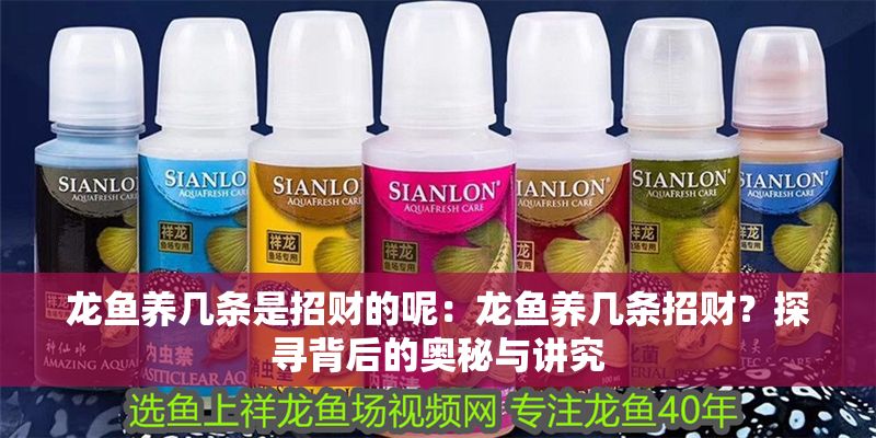 龍魚養(yǎng)幾條是招財(cái)?shù)哪兀糊堲~養(yǎng)幾條招財(cái)？探尋背后的奧秘與講究