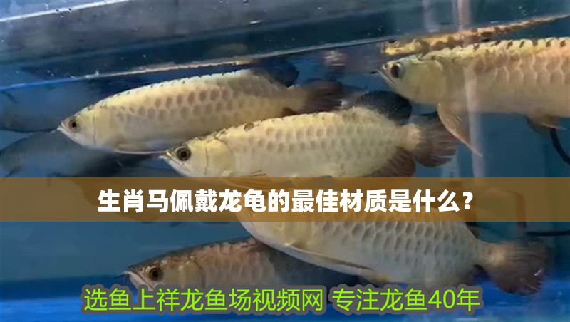 生肖馬佩戴龍龜?shù)淖罴巡馁|(zhì)是什么？