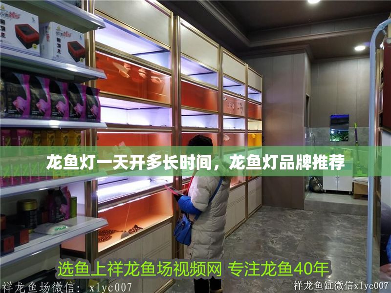 龍魚燈一天開多長時間，龍魚燈品牌推薦