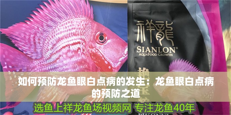 如何預(yù)防龍魚(yú)眼白點(diǎn)病的發(fā)生：龍魚(yú)眼白點(diǎn)病的預(yù)防之道