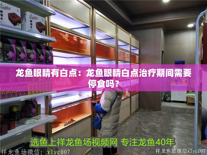 龍魚眼睛有白點：龍魚眼睛白點治療期間需要停食嗎？
