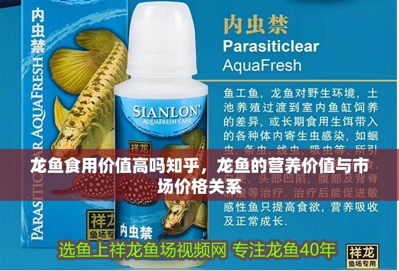 龍魚食用價值高嗎知乎，龍魚的營養價值與市場價格關系