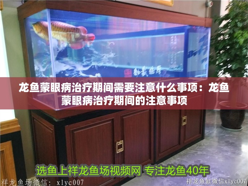 龍魚蒙眼病治療期間需要注意什么事項：龍魚蒙眼病治療期間的注意事項