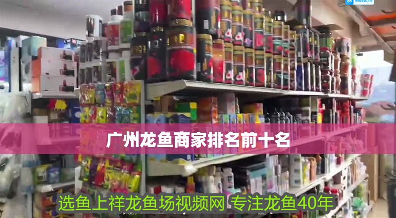 廣州龍魚商家排名前十名