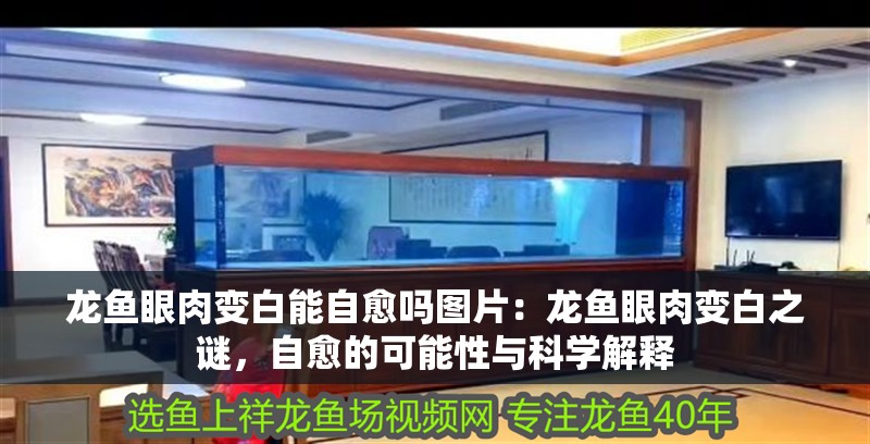 紅龍魚的挑選與飼養指南：紅龍魚怎么養出七鰭才會大