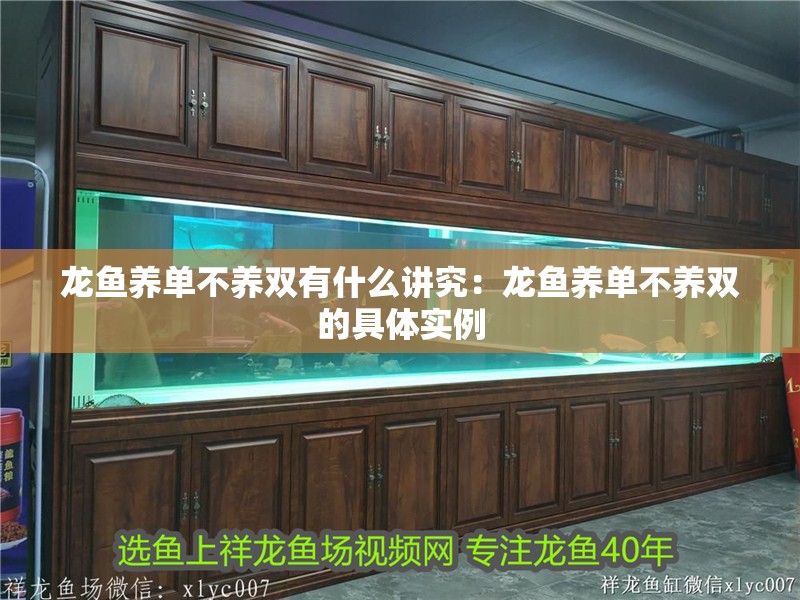 龍魚養單不養雙有什么講究：龍魚養單不養雙的具體實例