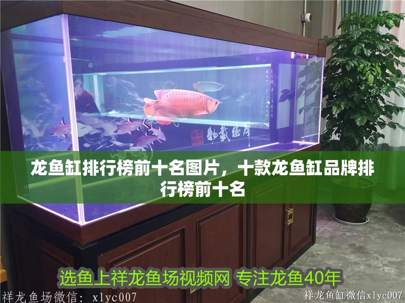 龍魚缸排行榜前十名圖片，十款龍魚缸品牌排行榜前十名