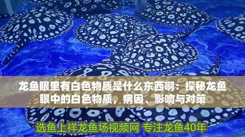 龍魚(yú)眼里有白色物質(zhì)是什么東西啊：探秘龍魚(yú)眼中的白色物質(zhì)，病因、影響與對(duì)策