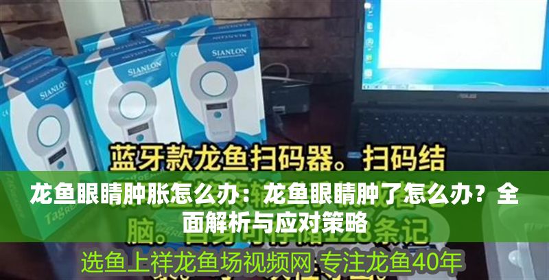 龍魚眼睛腫脹怎么辦：龍魚眼睛腫了怎么辦？全面解析與應(yīng)對策略