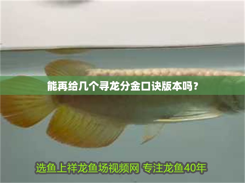 能再給幾個(gè)尋龍分金口訣版本嗎？