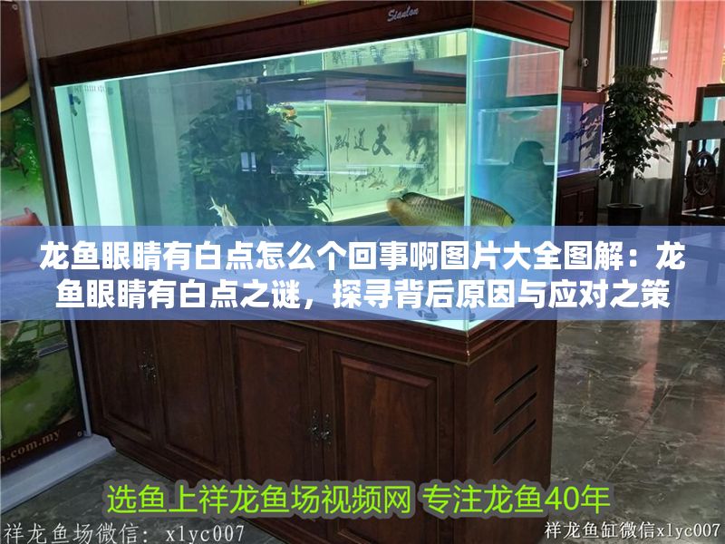 龍魚眼睛有白點怎么個回事啊圖片大全圖解：龍魚眼睛有白點之謎，探尋背后原因與應對之策