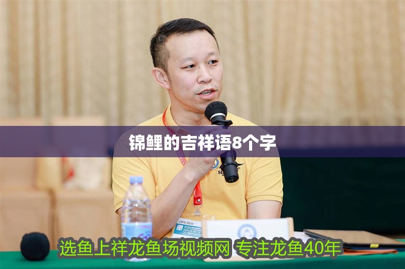錦鯉的吉祥語8個字