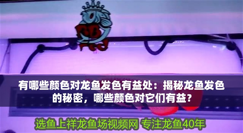 有哪些顏色對龍魚發(fā)色有益處：揭秘龍魚發(fā)色的秘密，哪些顏色對它們有益？
