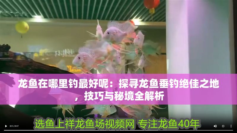 龍魚在哪里釣最好呢：探尋龍魚垂釣絕佳之地，技巧與秘境全解析