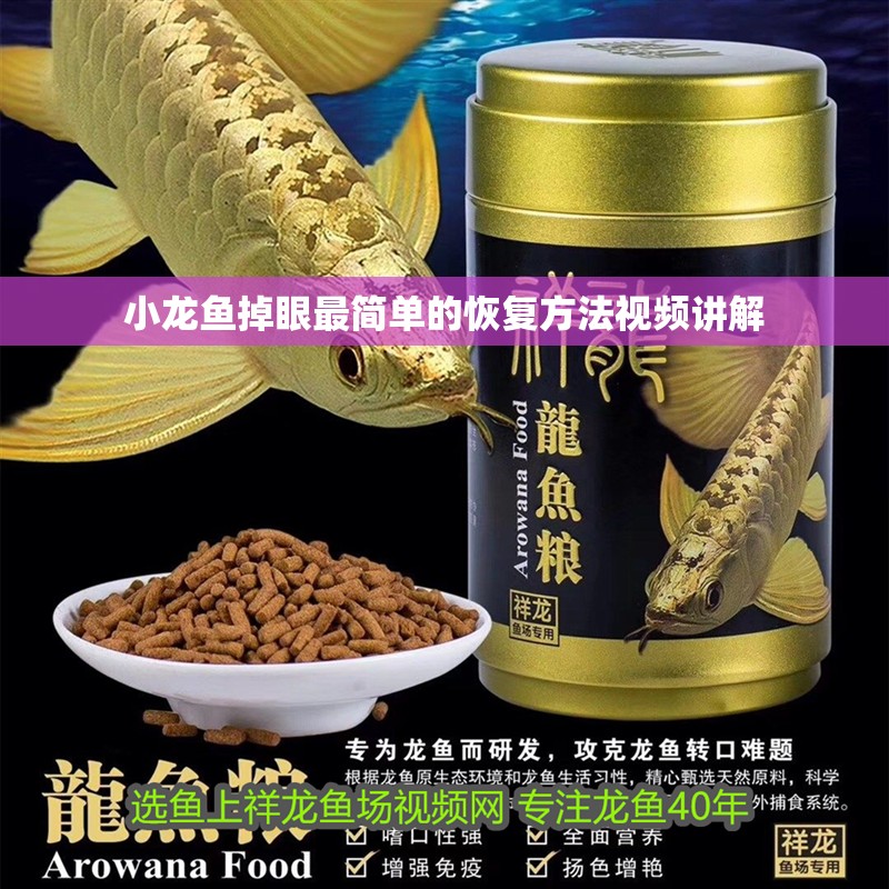 小龍魚掉眼最簡單的恢復方法視頻講解