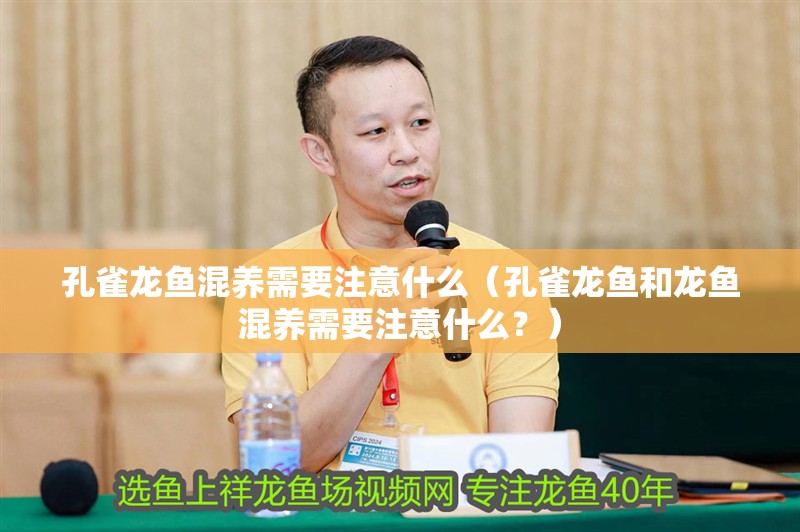 孔雀龍魚混養需要注意什么（孔雀龍魚和龍魚混養需要注意什么？） 孔雀龍魚混養需要注意什么（孔雀龍魚和龍魚混養需要注意什么？） 龍魚百科