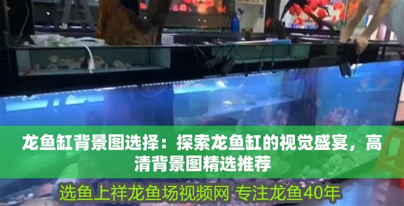 龍魚缸背景圖選擇：探索龍魚缸的視覺盛宴，高清背景圖精選推薦