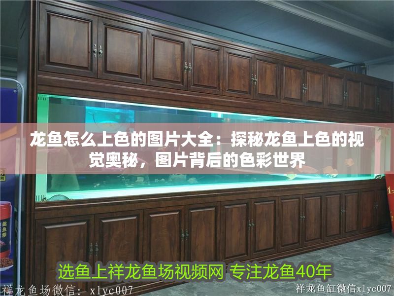 龍魚怎么上色的圖片大全：探秘龍魚上色的視覺奧秘，圖片背后的色彩世界