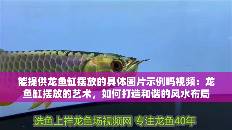能提供龍魚缸擺放的具體圖片示例嗎視頻：龍魚缸擺放的藝術(shù)，如何打造和諧的風(fēng)水布局