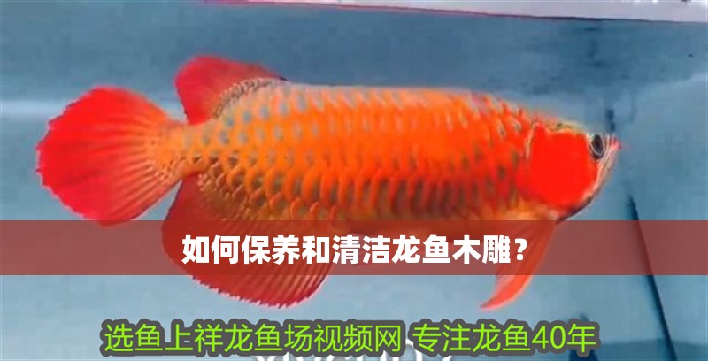 如何保養(yǎng)和清潔龍魚木雕？