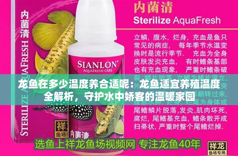 龍魚在多少溫度養合適呢：龍魚適宜養殖溫度全解析，守護水中嬌客的溫暖家園