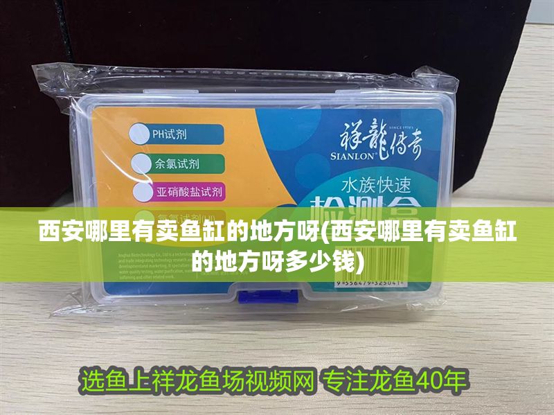 西安哪里有賣魚缸的地方呀(西安哪里有賣魚缸的地方呀多少錢)