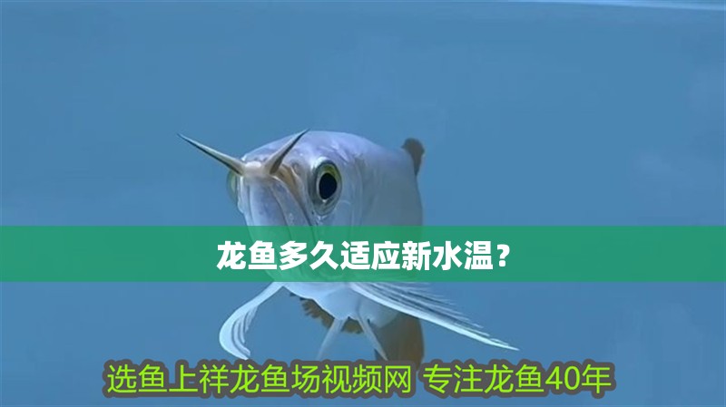 龍魚多久適應新水溫？