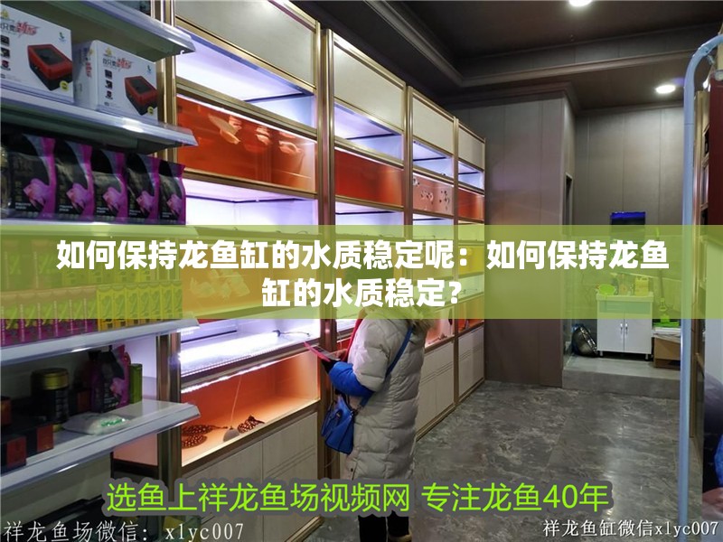 如何保持龍魚缸的水質穩定呢：如何保持龍魚缸的水質穩定？