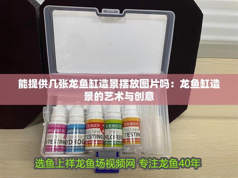 能提供幾張龍魚缸造景擺放圖片嗎：龍魚缸造景的藝術與創意