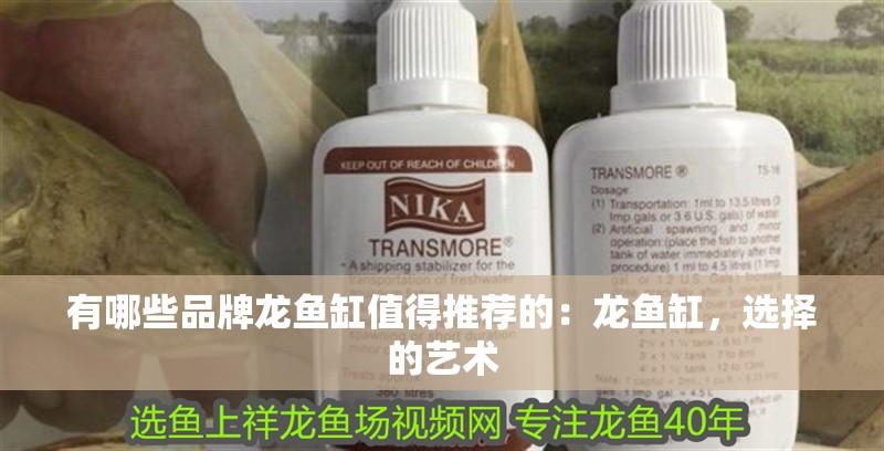 有哪些品牌龍魚缸值得推薦的：龍魚缸，選擇的藝術